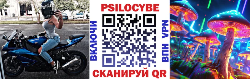 Купить где  Слюдянка  Псилоцибиновые грибы Psilocybine cubensis 